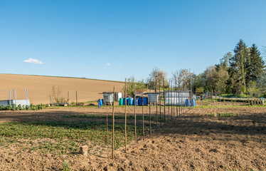 Schrebergarten