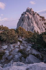 Evening mountain landscape. Cat mountain. Nature.