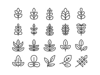 Compound Leaf Outline line Icon Set Spring Concept Illustration Vector EPS 10. Editable Stroke