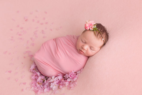 a newborn girl shows her tongue. photo session of newborns. newborn in pink on a pink background in the colors of inflorescences