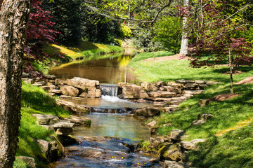 small waterfall in the forest