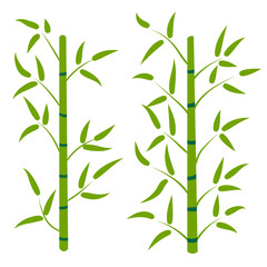 Cartoon bamboo forest. Tropical floral element for design.  Nature. Rainforest in Asia. Vector illustration.  