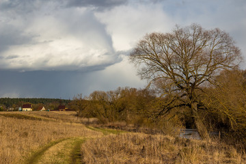 Landscape with a view of the field and impending formidable clouds
