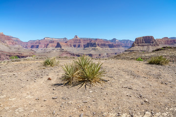 hiking the south kaibab trail at the tipoff in grand canyon national park, arizona, usa