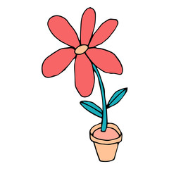 Bright cartoon doodle flower in pot isolated on white background. Vector illustration.  