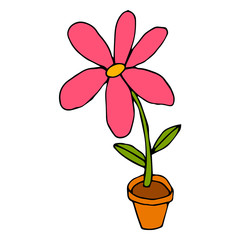 Bright cartoon doodle flower in pot isolated on white background. Vector illustration.  