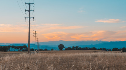 Wood electricity tower in a field © Pol