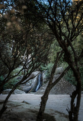 The waterfall in park in Crimea.