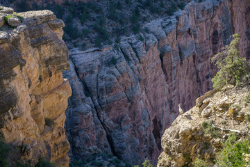 big horn sheeps on bright angel trail in grand canyon national park, arizona, usa