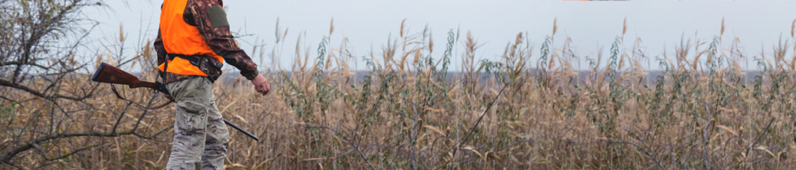 Hunting period, autumn season open. A hunter with a gun in his hands in hunting clothes in the autumn forest in search of a trophy. A man stands with weapons and hunting dogs tracking down the game.