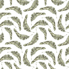 Hand painted watercolor tropical seamless pattern with exotic palm leaves. Elegant illustration on white background. Palm leaves, jungle leaves. Floral background for wallpaper, scrapbooking, wrapping