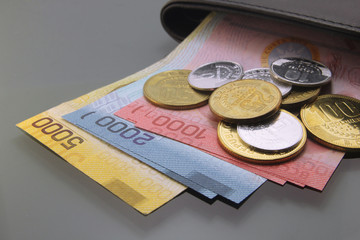 Costa Rica Money, Currency of Costa Rica, Colones, various bills and coins inside a wallet, close-up on dark background. Cash money