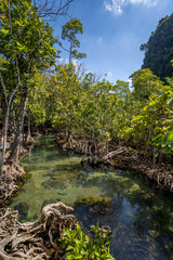 Tha Pom Klong Song Nam national park, Krabi Province, Thailand, South East Asia