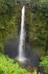 Fototapeta na wymiar Beautiful Hawaii Big Island nature background. Scenic landscape with waterfall inside rainforest. Akaka Falls State Park, Hawaii Big Island, USA. Vertical composition.