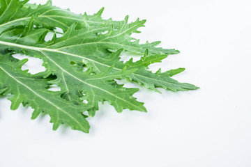 Fresh green vegetables red on white background