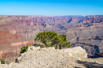 hiking the rim trail to mohave point at the south rim of grand canyon in arizona, usa