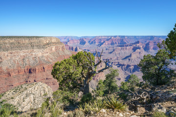 hiking the hermit trail at the south rim of grand canyon in arizona, usa