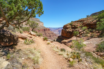 Naklejka premium hiking the hermit trail at the south rim of grand canyon in arizona, usa