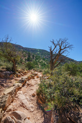 Fototapeta na wymiar hiking the hermit trail at the south rim of grand canyon in arizona, usa