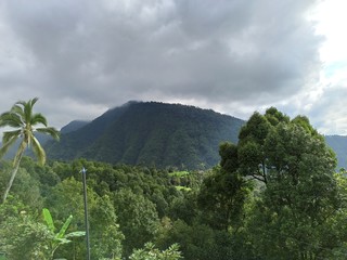 Fototapeta premium Green hill