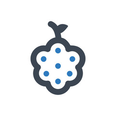 Raspberry Icon