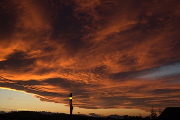 Cielo