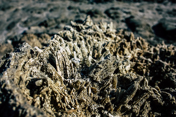 Crystal salt from the Dead Sea in Israel