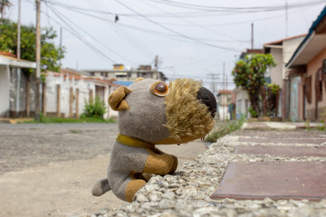 dog plush in the street in Venezuela