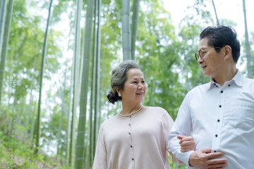 An elderly Asian couple walking in a bamboo forest
