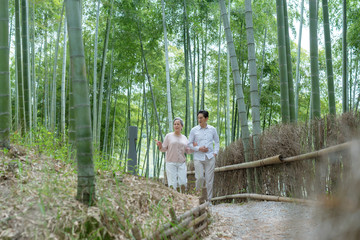 An elderly Asian couple walking in a bamboo forest