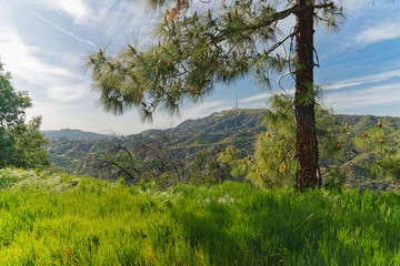 Griffith Hills Park hiking trail in Los Angeles, California.