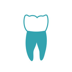 Vector isolated illustration of tooth