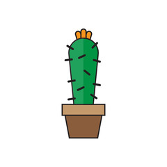 cactus color icons design. vector illustrations