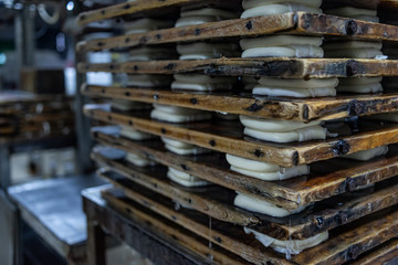 Tofu Square Fragrant Dried Tofu Dewatering Process