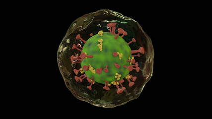 Microscope virus close up concept art . Pathogenic viruses causing infection in host organism,Virus attacking red blood cells , 3d render