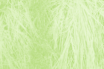 abstract light green background with copy space for design