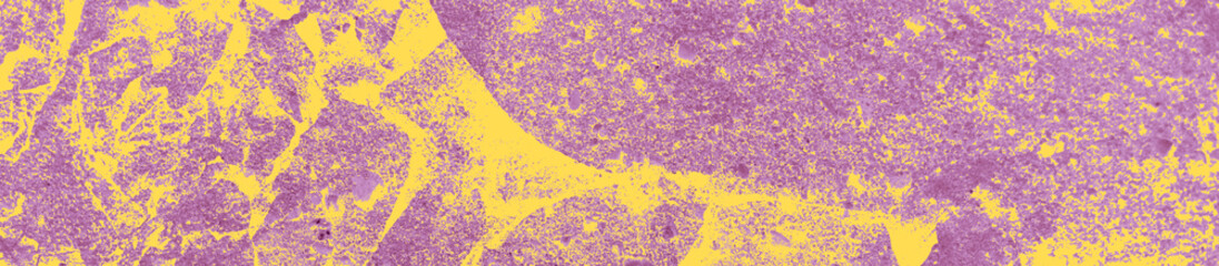 Fototapeta premium abstract yellow and purple colors background