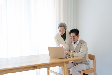 An Asian elderly couple using a computer