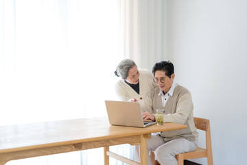 An Asian elderly couple using a computer