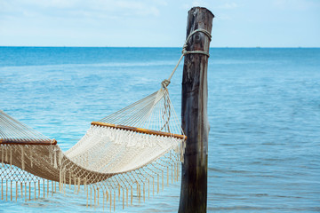 Empty hammock between palm trees on tropical beach