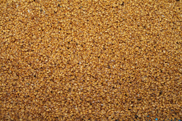 THE TEXTURE OF THE WHEAT