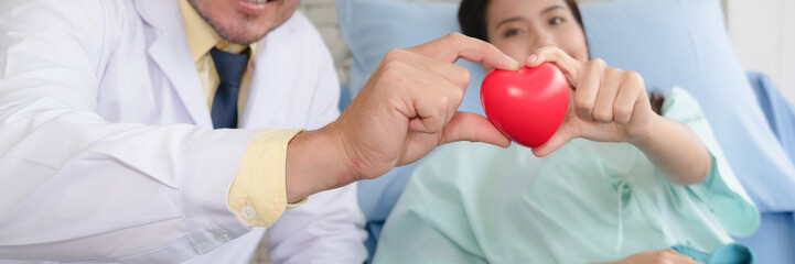 caucasian cardiology doctor and asian patient holding heart shape ball together in concept of heart...