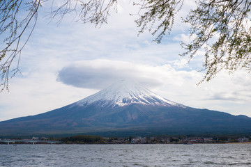 Traveling in Japan during the cherry blossom season