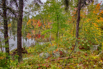 View from northern Ontario Rest Stop
