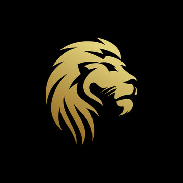 Lion logo Design vector template Illustration