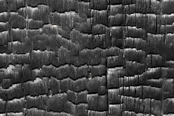 Burned wood, seamless texture.