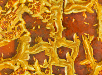 Surface of mushroom, seamless texture.