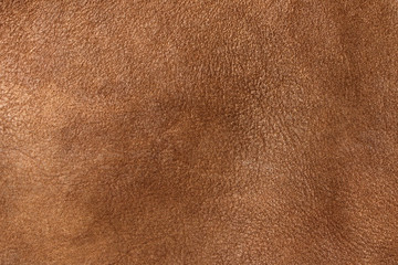 Brown leather of wild animal, texture . Leather background, brown color. Close up. Brown leather...