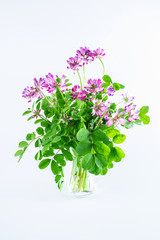 Viburnum flowers in a bottle on white background