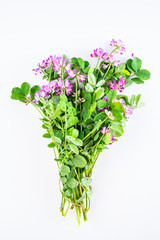 Beautiful purple cloudflower flowers on white background